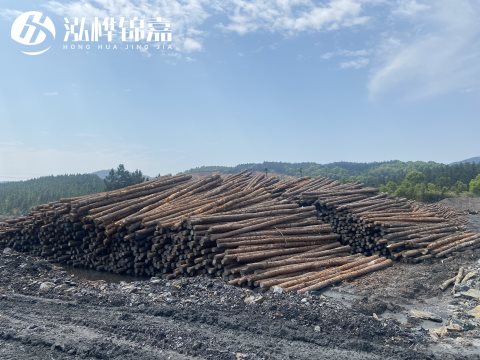 河道打樁為什么選擇松木樁來處理軟地基？-松木樁施工使用范圍