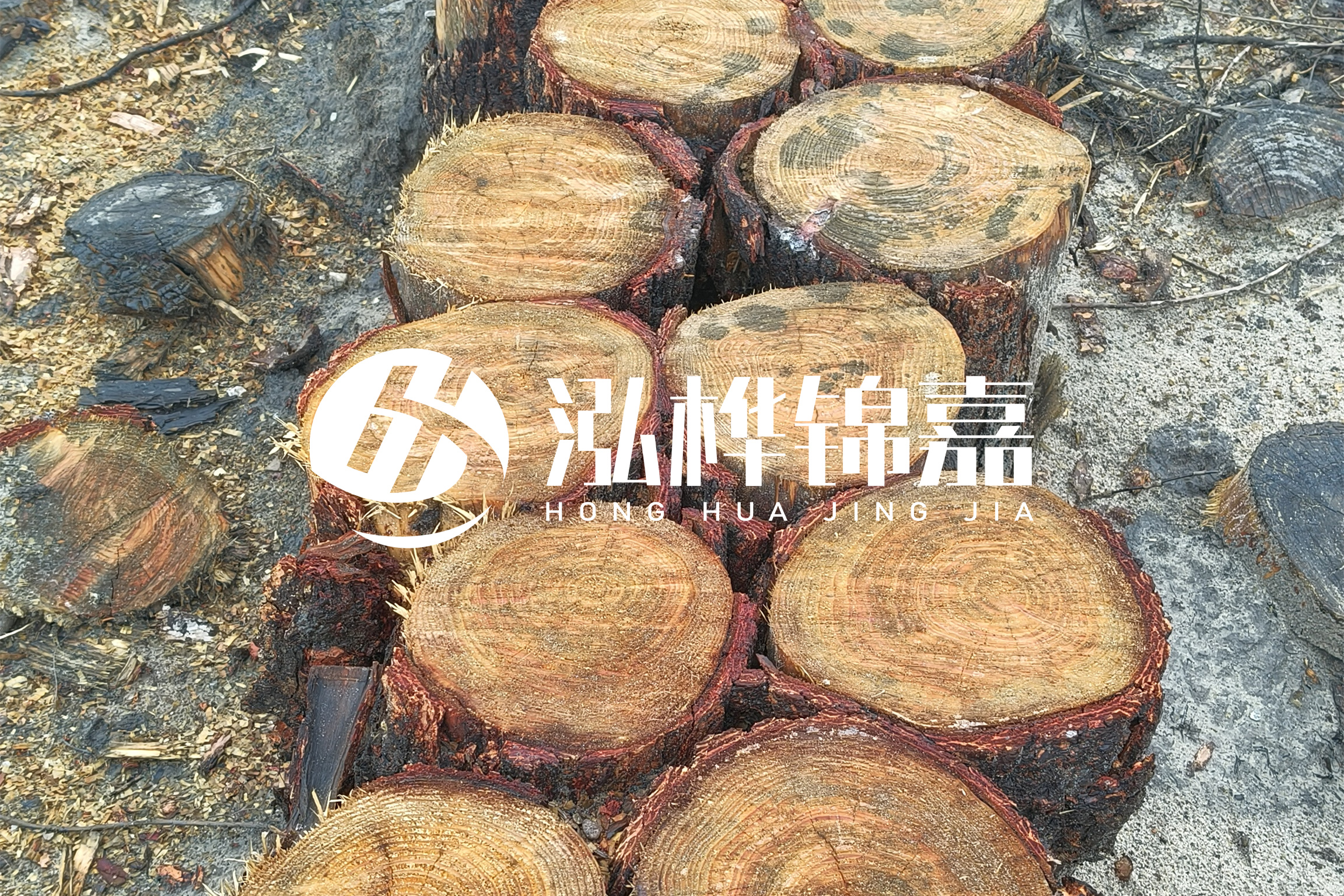 浙江臺州有清淤的公司嗎？浙江臺州有清淤施工隊(duì)嗎？