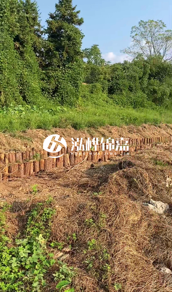 許昌河道清淤專業(yè)施工-河道污水治理要多長(zhǎng)時(shí)間？