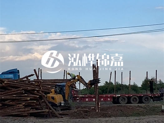 河北打樁木源頭廠家泓樺錦嘉 - 北方常用打樁木是什么？