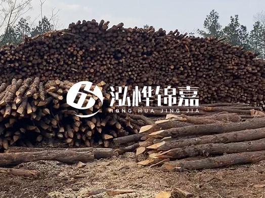地基打木樁用什么木材 - 地基打木樁的能撐幾年？