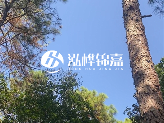 松木樁廠家泓樺錦嘉可以實(shí)地考察嗎？需要提前預(yù)約嗎？