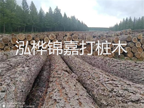 高效施工，圓松木樁助力建筑工程進(jìn)展順利