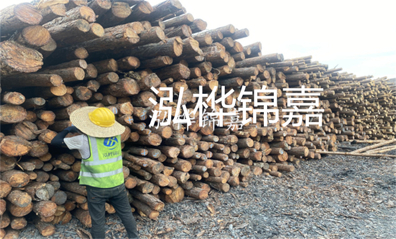 選擇松木樁15 20，打造穩(wěn)固的基礎(chǔ)！