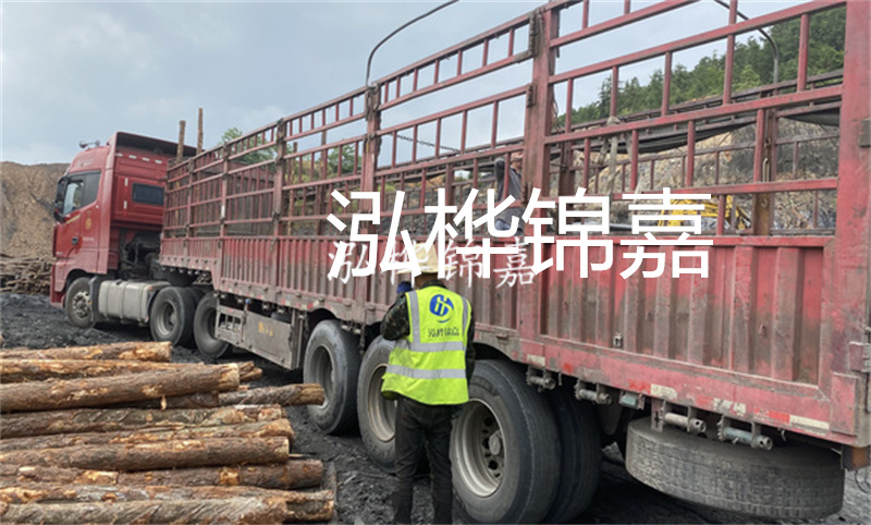 定安河道仿松木樁施工，打造環(huán)保生態(tài)水域