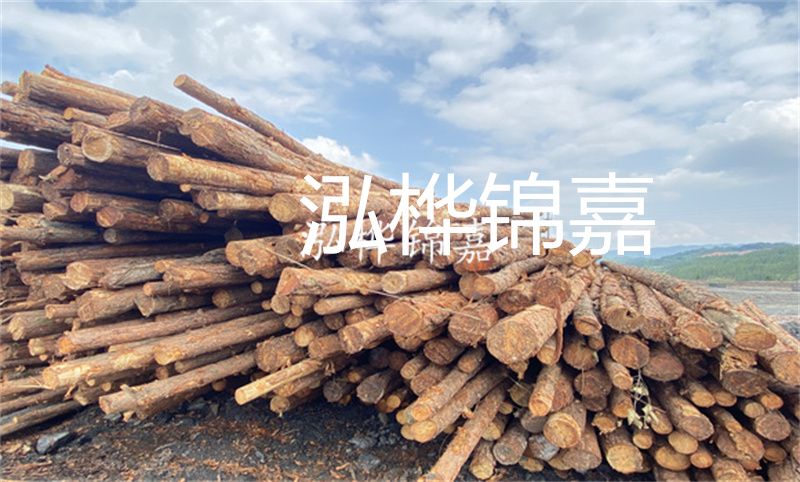 濮陽(yáng)松木樁，卓越品質(zhì)，安全可靠