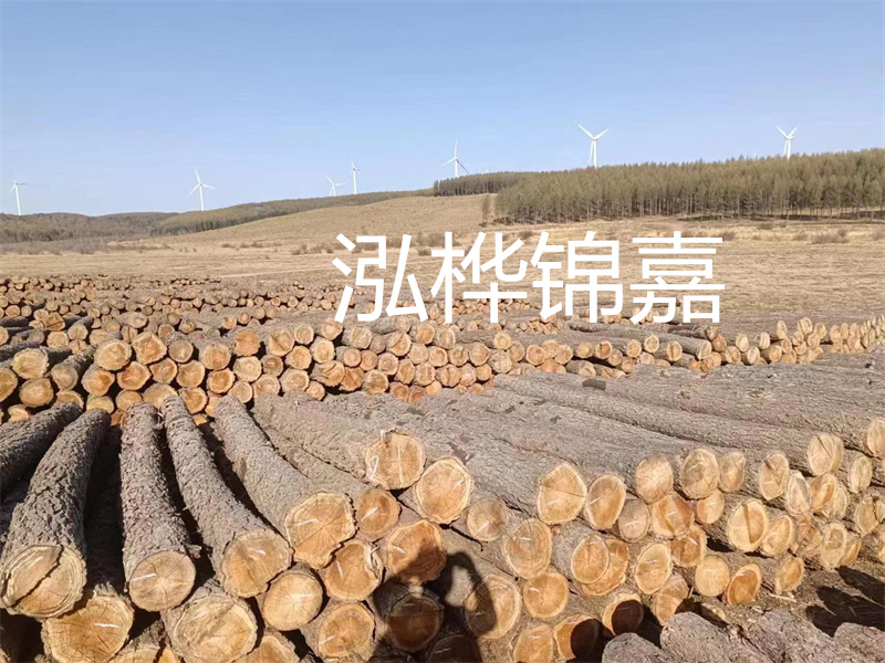 濟(jì)南哪里賣(mài)松木木樁？